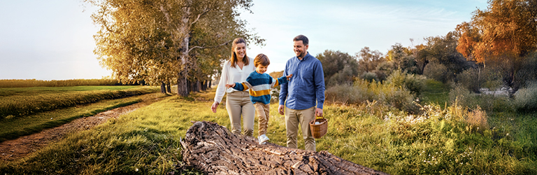 Family_office_14_images